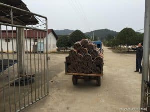 Bezoek aan vuurwerkfabriek in China, zomer 2016
